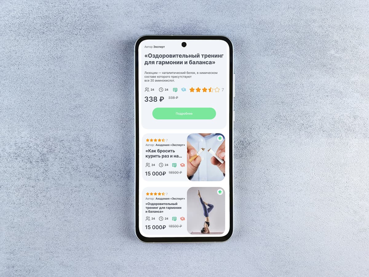 Mobile application interface
